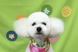 4月のお友達☆