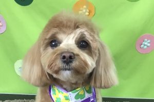4月のお友達☆