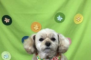 4月のお友達☆