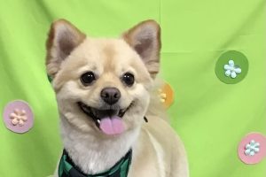 4月のお友達☆