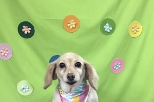 ４月のお友達☆