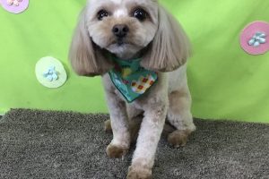 ４月のお友達☆