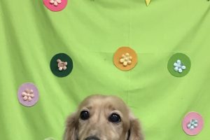 4月のお友達☆