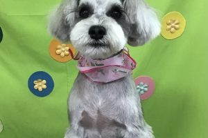 4月のお友達☆