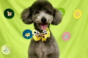 ４月のお友達☆