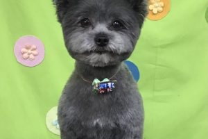 ４月のお友達☆