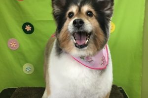 4月のお友達☆