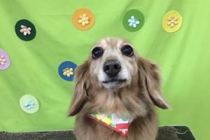 ４月のお友達☆
