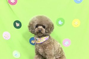 ４月のお友達☆
