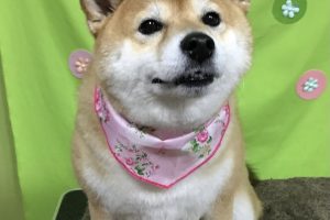 4月のお友達☆