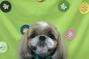 4月のお友達☆