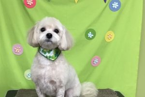 ４月のお友達☆