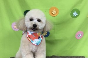 4月お友達☆