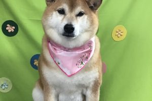 4月のお友達☆
