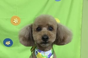 4月のお友達☆
