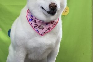 ４月のお友達☆