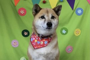 ４月のお友達☆