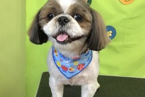 ４月のお友達☆
