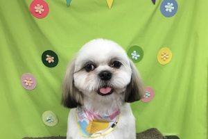 ４月のお友達☆