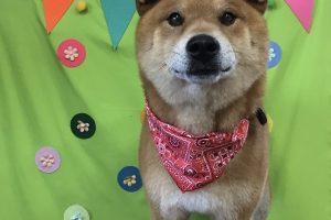 ４月のお友達☆