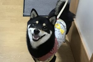 お泊り☆