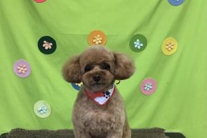４月のお友達☆