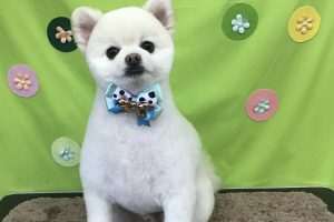 ４月のお友達☆