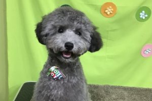 4月のお友達☆