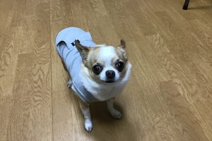 お泊り中☆