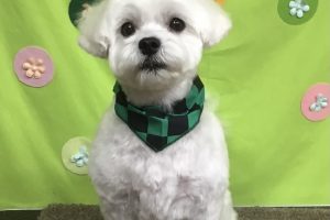 ４月のお友達☆