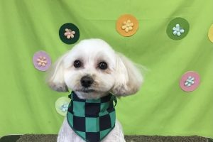 ４月のお友達☆