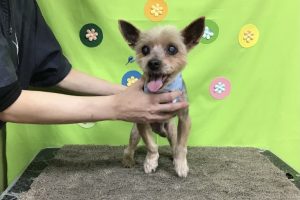 ４月のお友達☆