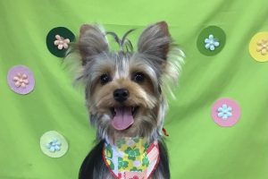 4月のお友達☆