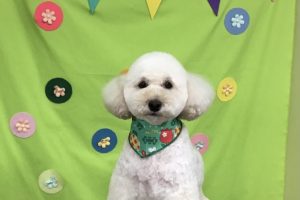 4月のお友達☆