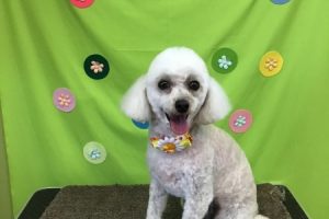 4月のお友達☆