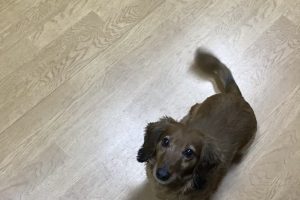 お泊まり中☆