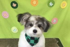４月のお友達☆