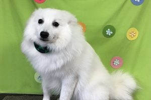 ４月のお友達☆