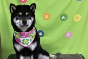 4月のお友達☆