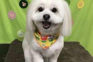 ４月のお友達☆