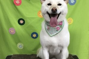４月のお友達☆