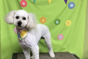 ４月のお友達☆