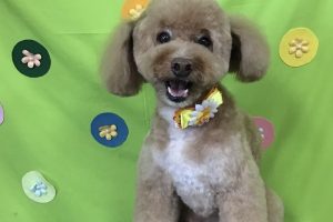 ４月のお友達☆