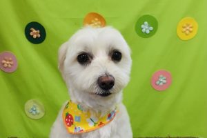４月のお友達☆