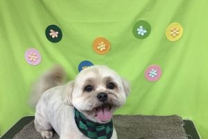 ４月のお友達☆