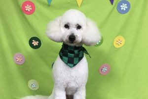 ４月のお友達☆