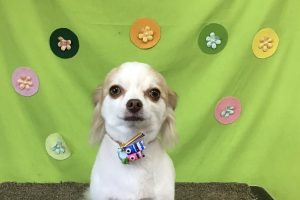 ４月のお友達☆