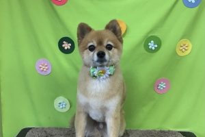 4月のお友達☆