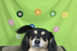 ４月のお友達☆