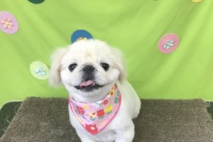 ４月のお友達☆